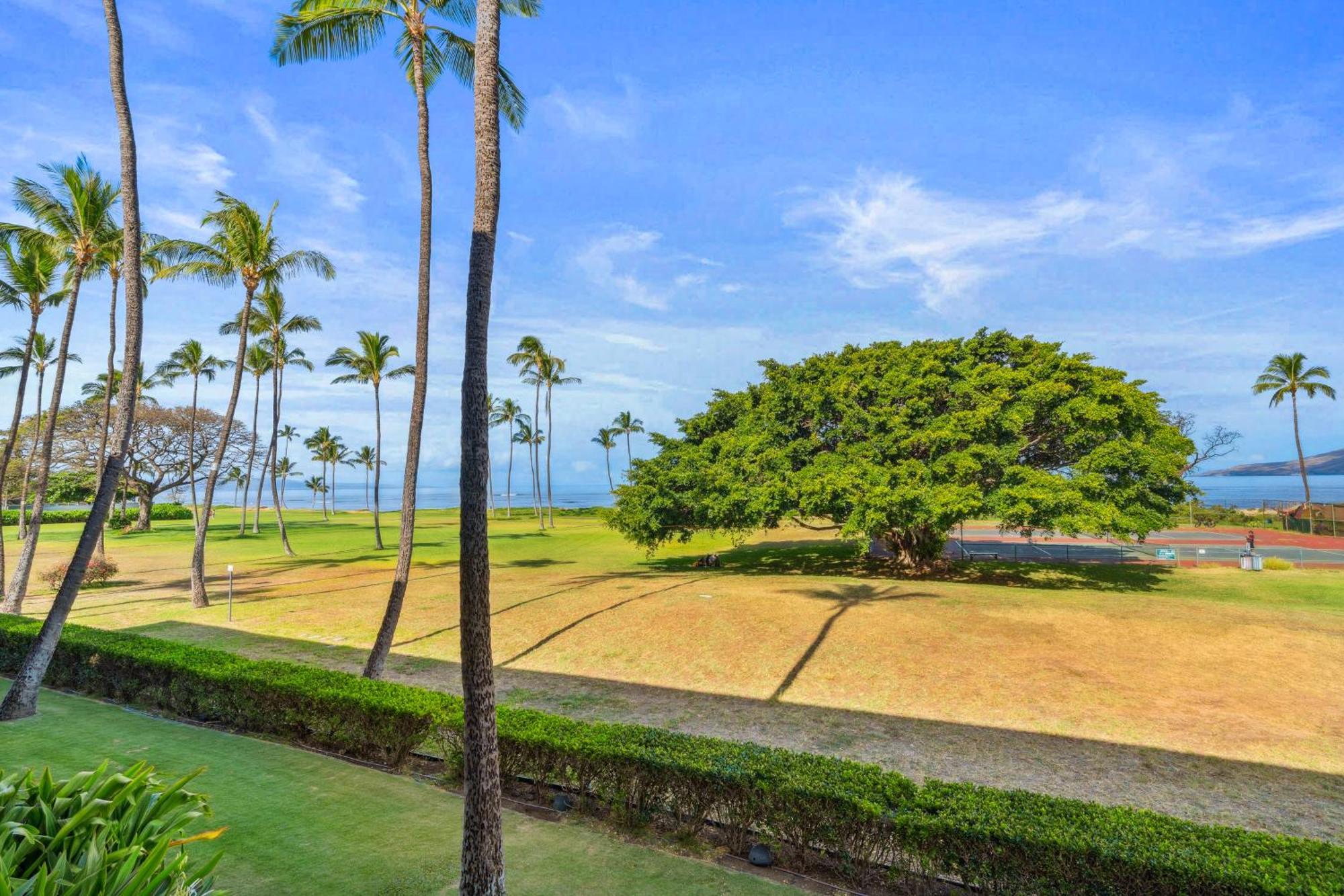 Maui Schooner Resort Kihei Exteriör bild