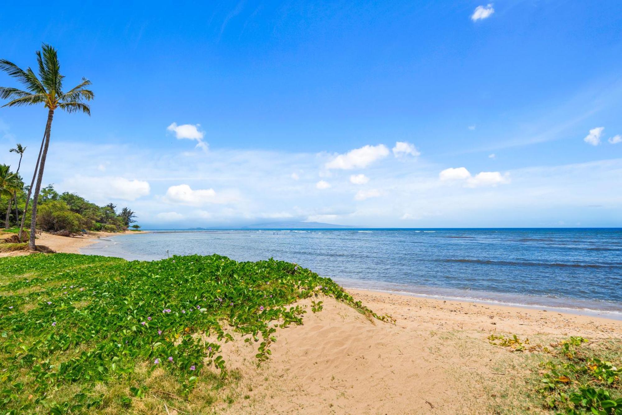 Maui Schooner Resort Kihei Exteriör bild