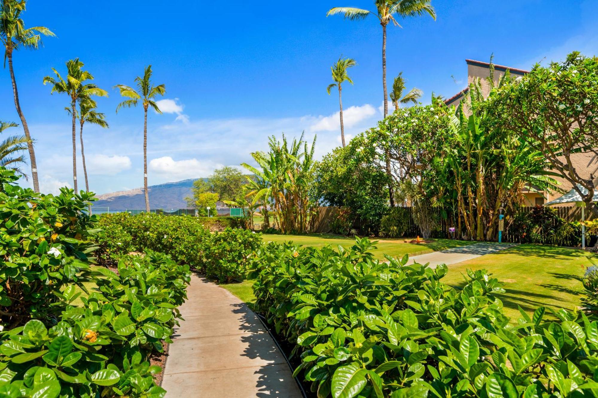 Maui Schooner Resort Kihei Exteriör bild