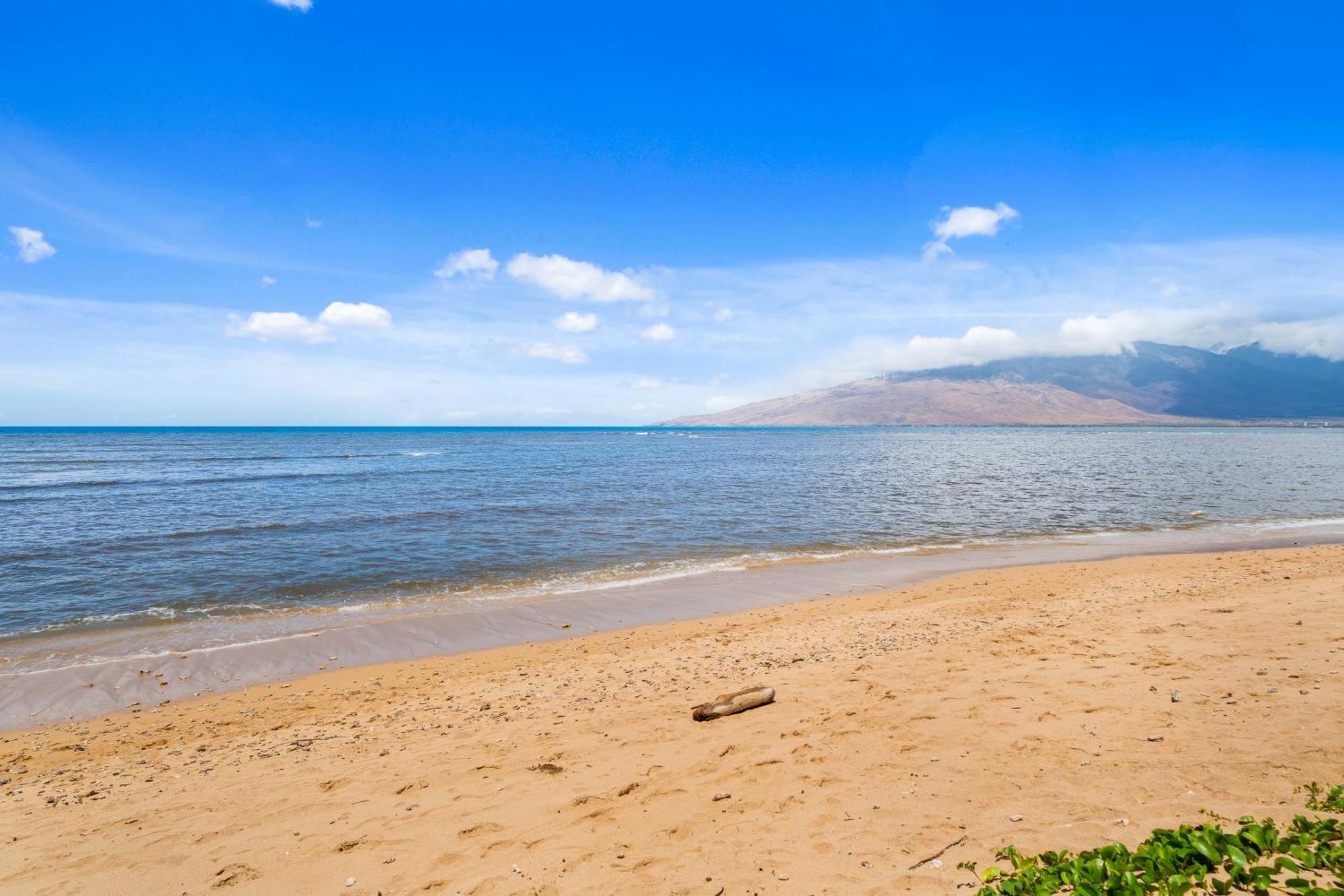 Maui Schooner Resort Kihei Exteriör bild